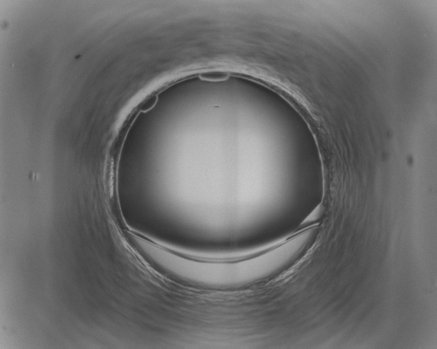 X0000083611510200703051530