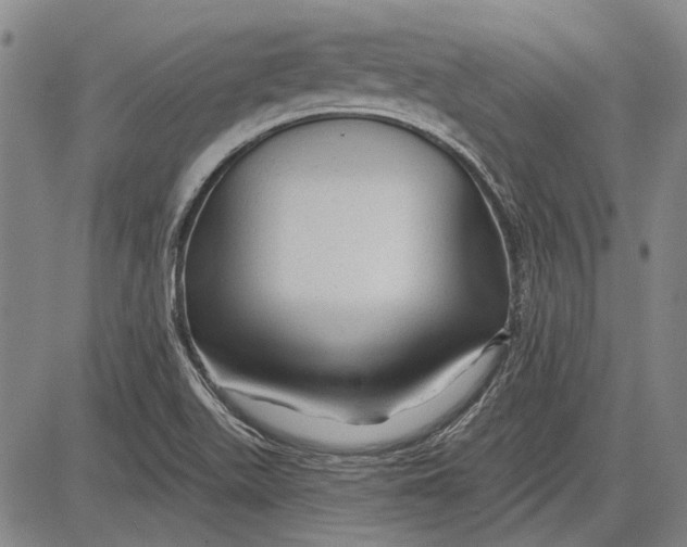 X0000083611511200703051530