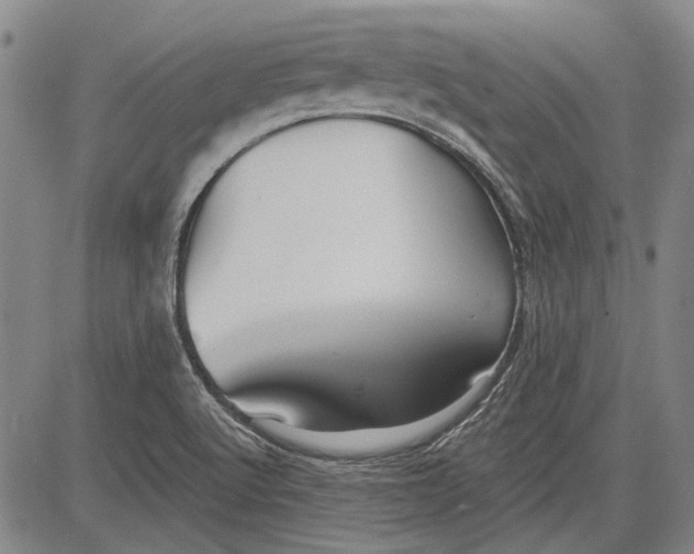 X0000083611512200703051530