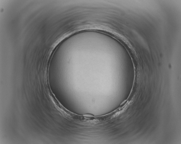 X0000083611513200703051530