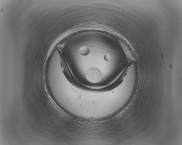 X0000083611514200703051530