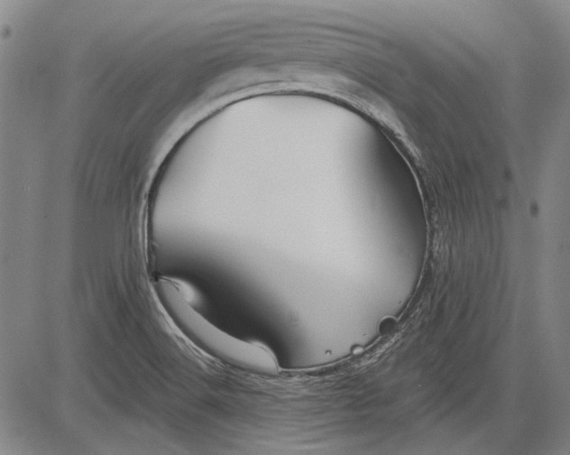 X0000083611516200703051530