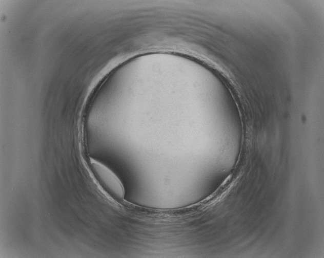 X0000083611517200703051530