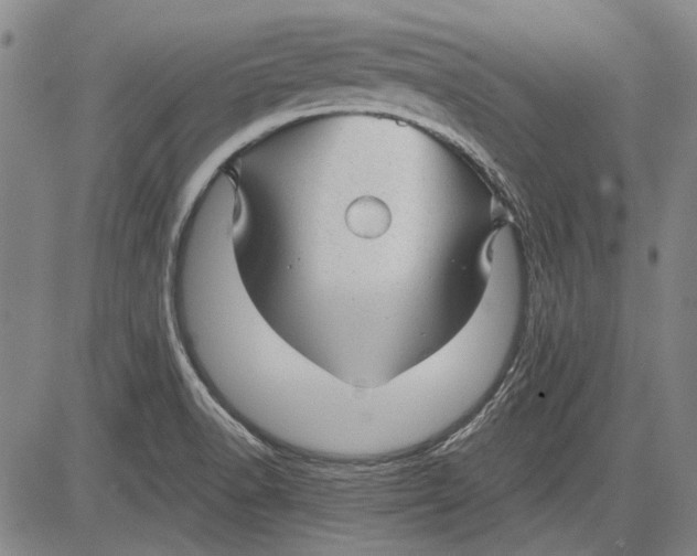 X0000083611518200703051530