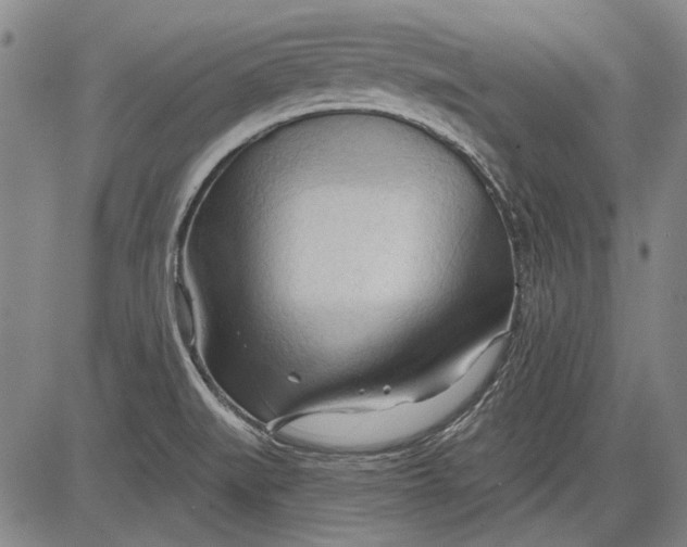 X0000083611519200703051530