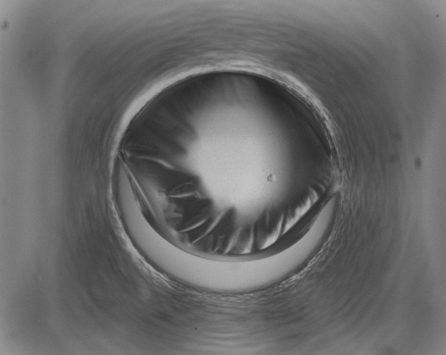 X0000083611520200703051530