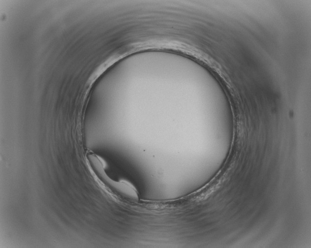 X0000083611521200703051530