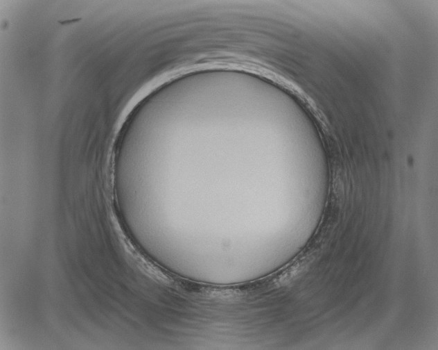 X0000083611522200703051530