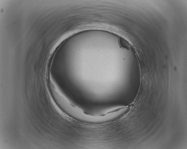 X0000083611523200703051530