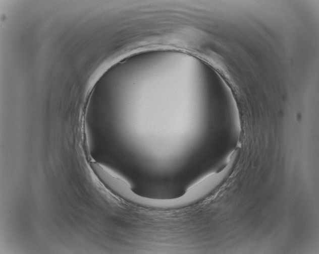 X0000083611524200703051530