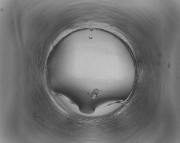 X0000083611525200703051530