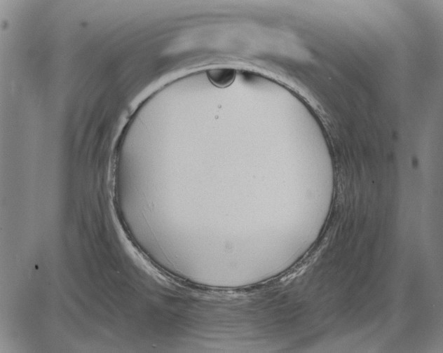 X0000083611526200703051530