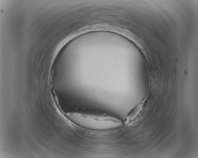 X0000083611527200703051530