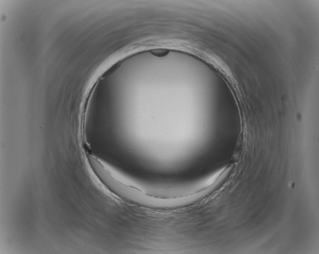 X0000083611528200703051530