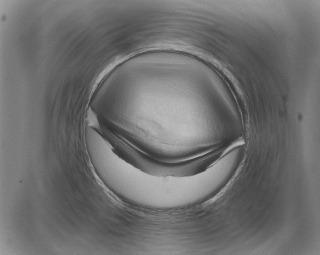 X0000083611529200703051530