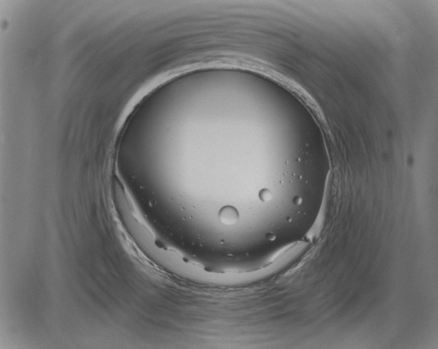 X0000083611530200703051530