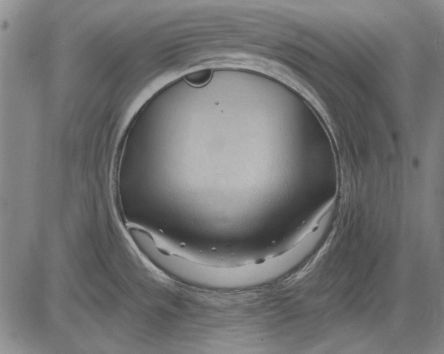 X0000083611533200703051530