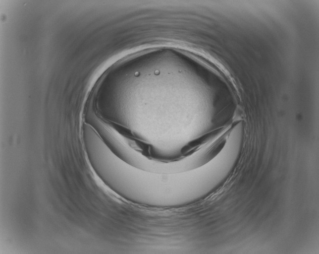 X0000083611535200703051530