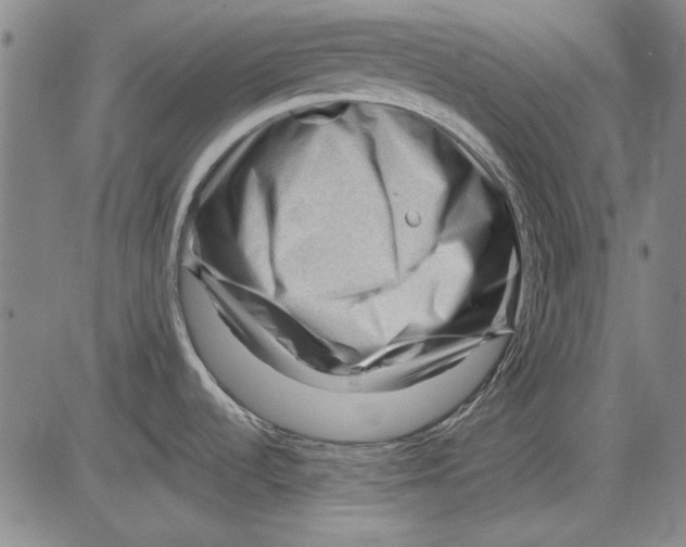 X0000083611536200703051530