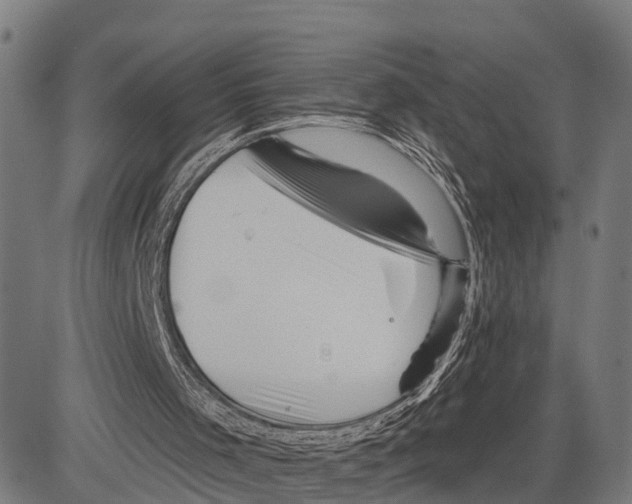 X0000083610001200703121614