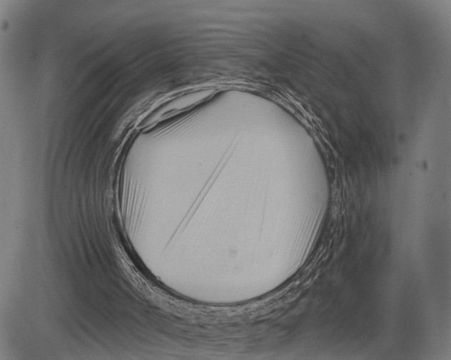 X0000083610002200703121614