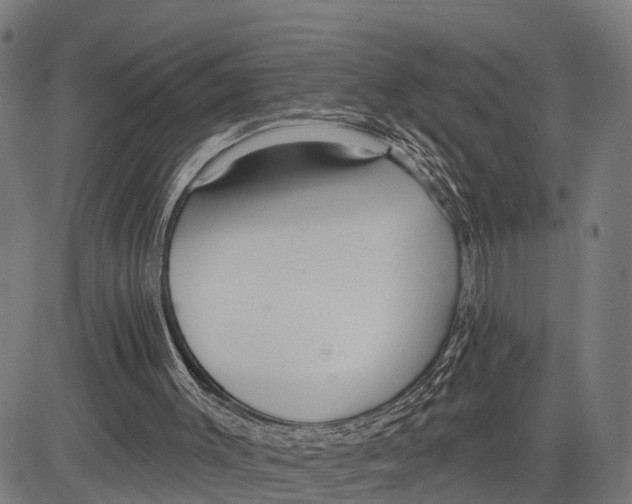 X0000083610003200703121614