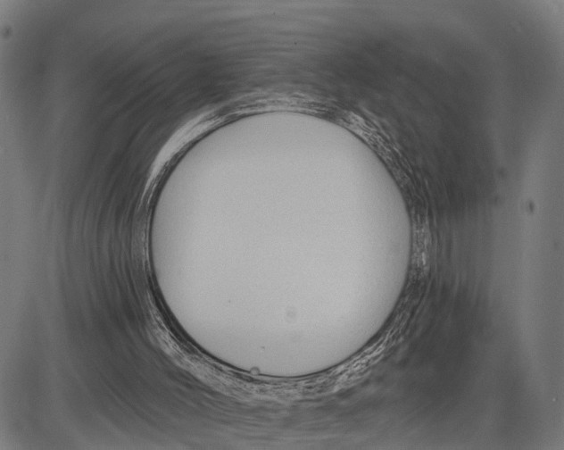 X0000083610004200703121614