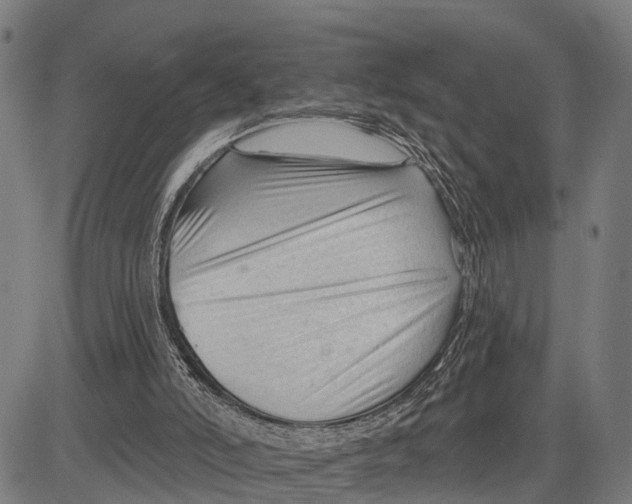 X0000083610006200703121614