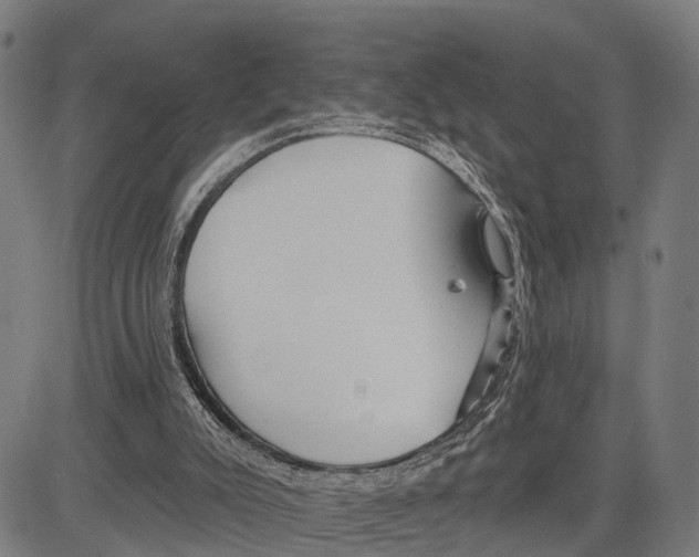 X0000083610007200703121614