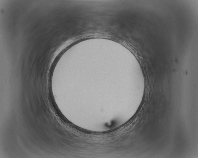 X0000083610008200703121614