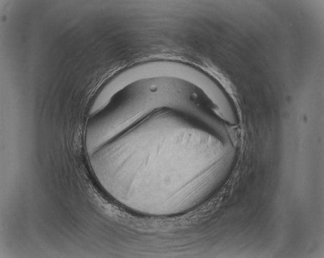 X0000083610009200703121614