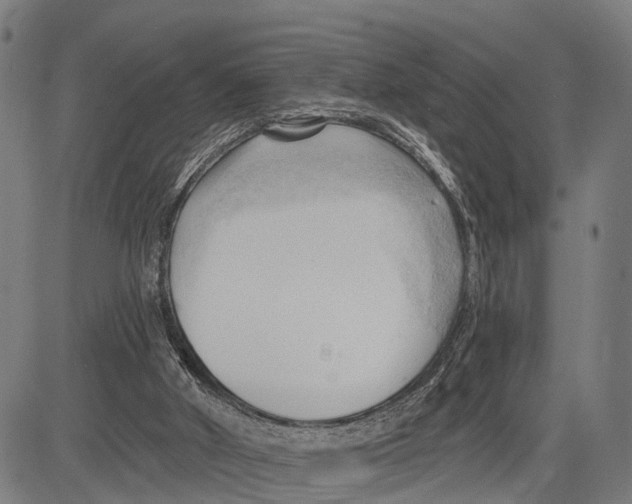 X0000083610010200703121614