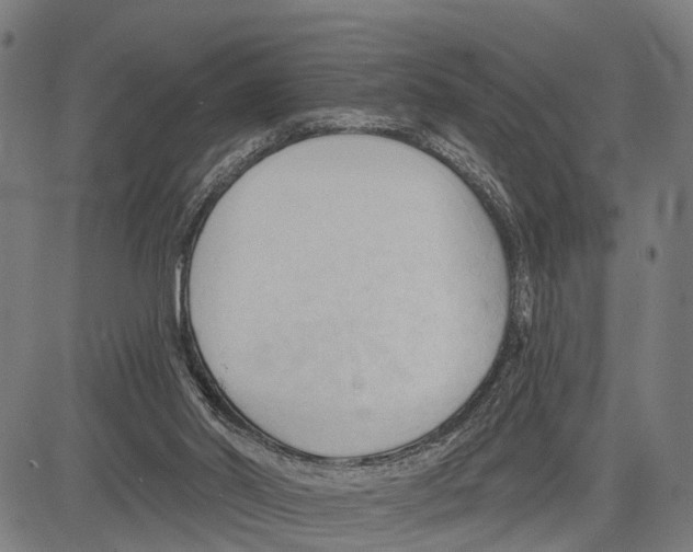 X0000083610014200703121614