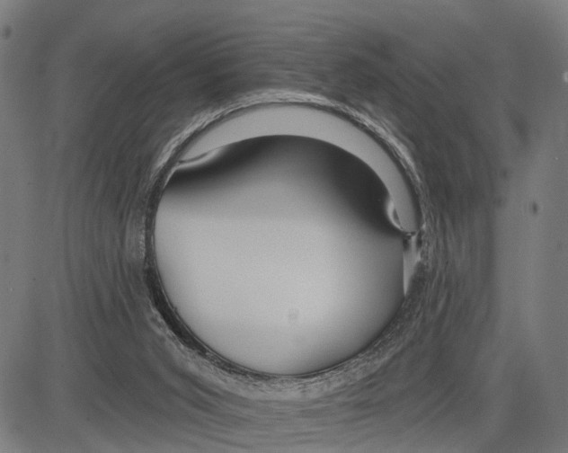 X0000083610015200703121614