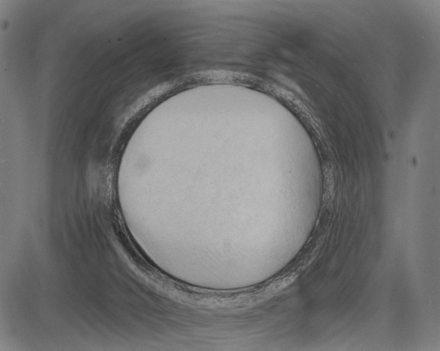 X0000083610016200703121614