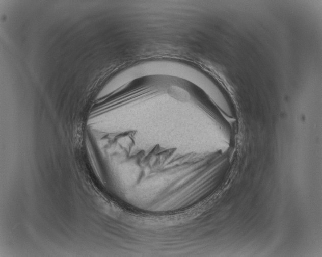 X0000083610017200703121614