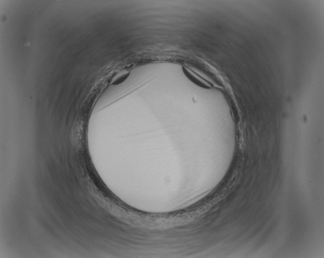 X0000083610018200703121614