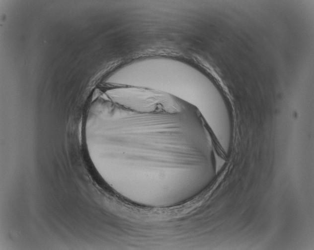 X0000083610019200703121614