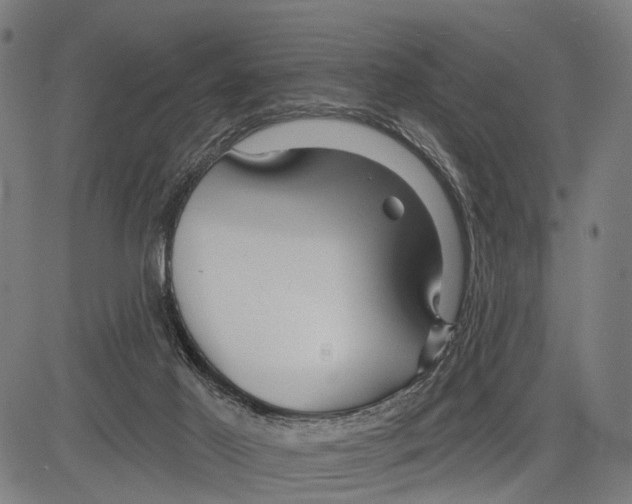 X0000083610021200703121614