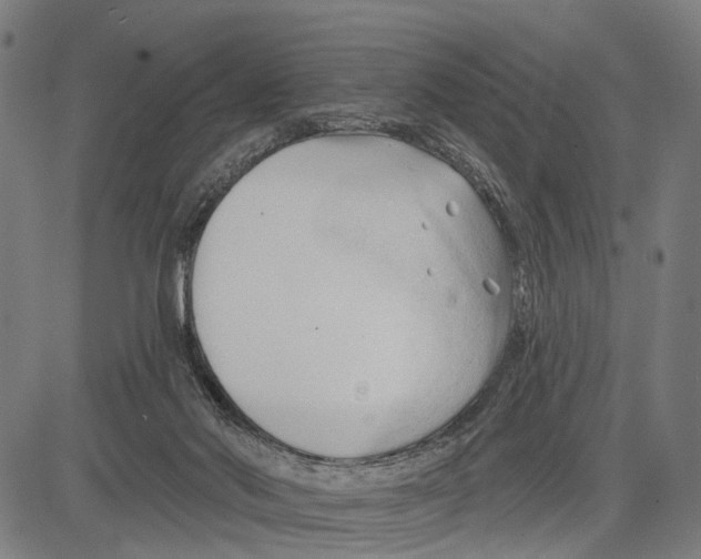 X0000083610022200703121614