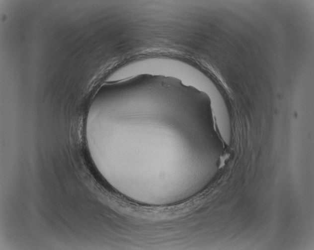 X0000083610023200703121614