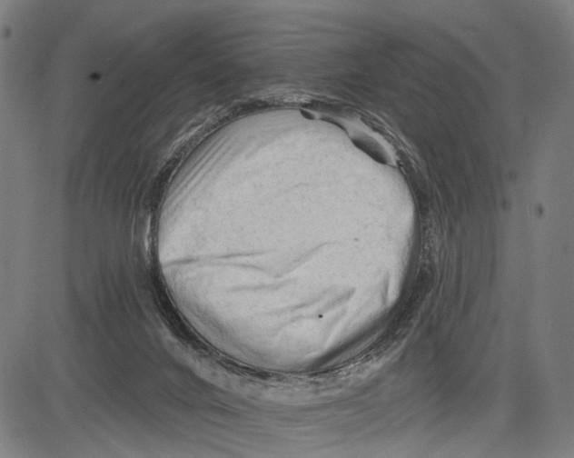 X0000083610024200703121614