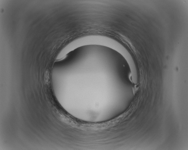 X0000083610025200703121614