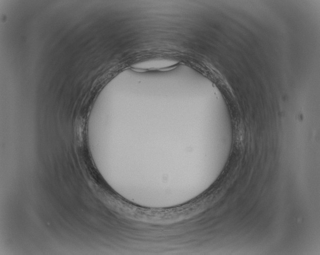 X0000083610026200703121614