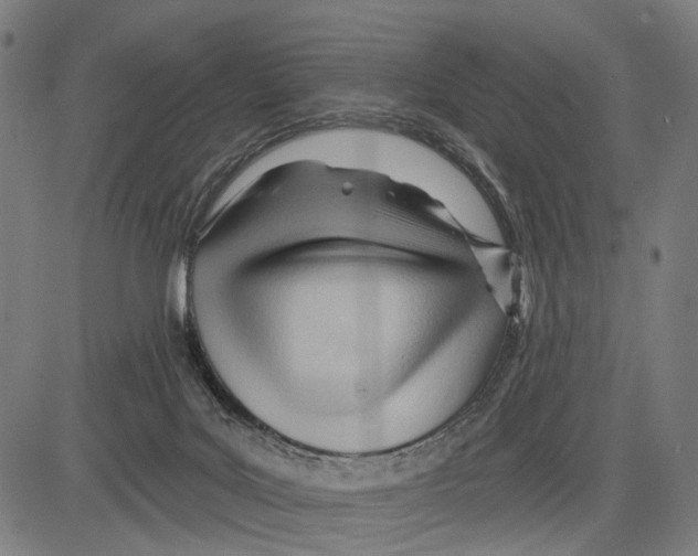 X0000083610027200703121614