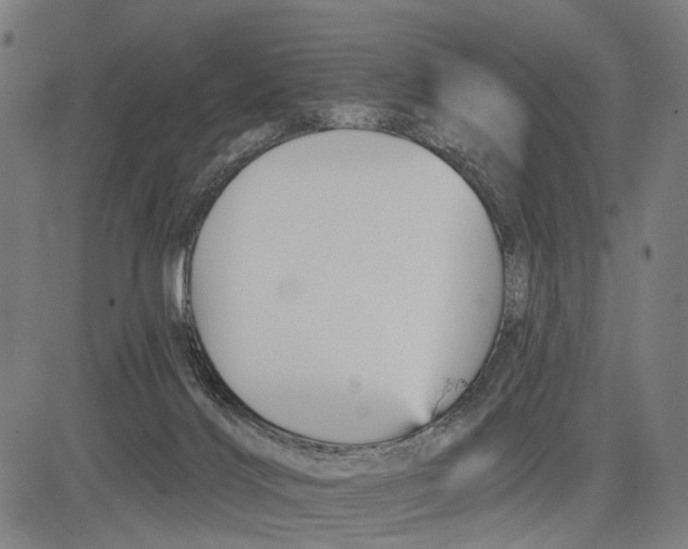 X0000083610028200703121614