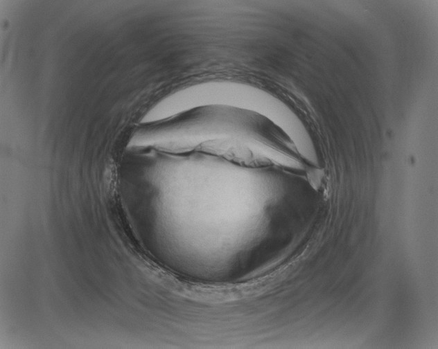 X0000083610029200703121614