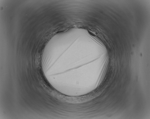 X0000083610030200703121614