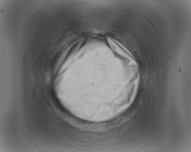 X0000083610032200703121614