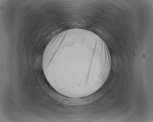 X0000083610034200703121614